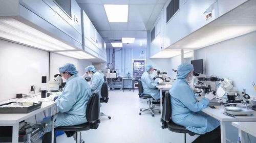 科技、地緣與生物安全 圍繞海外生物實(shí)驗(yàn)室的爭(zhēng)議與隱憂(yōu)